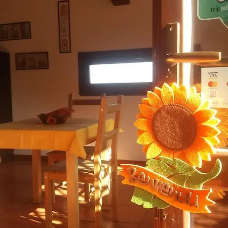 Pensión Il Nido Delle Aquile Dell'etna Milo