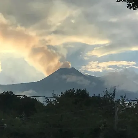 Il Nido Delle Aquile Dell'etna Guest house